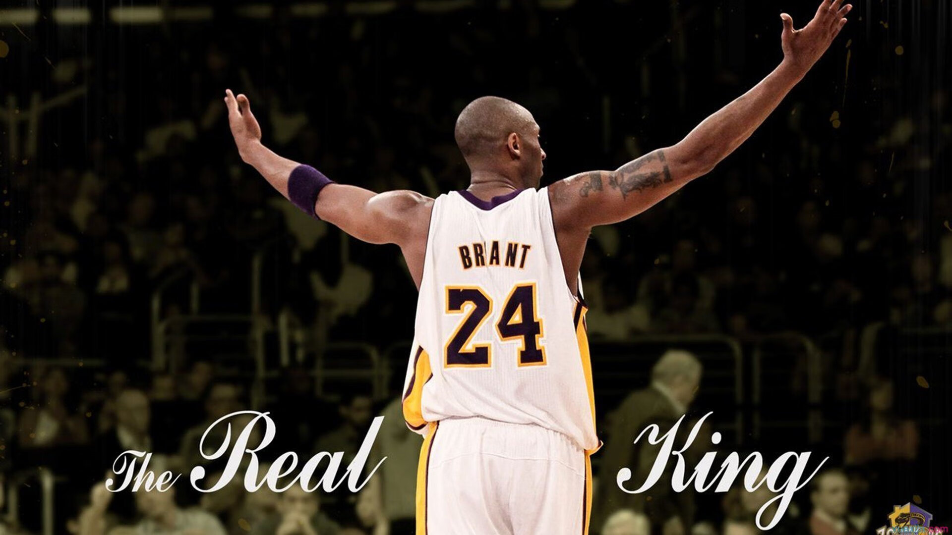 中小学篮球特色校园建设试点成果显著，中小学篮球发展与现状